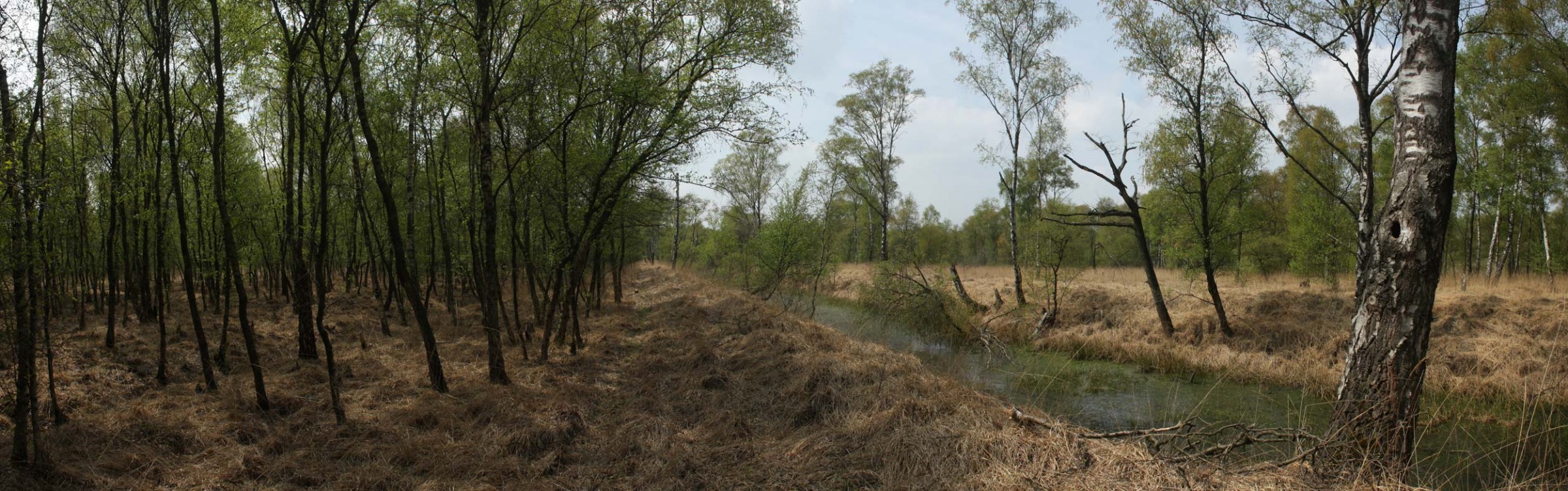 D130269_mariapeel.jpg
